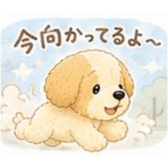 Meishiz_20260510210128