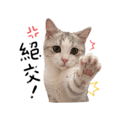 Q比&糯米2