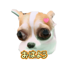 seri_20260510211902