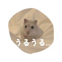 Haruka_20260510211623