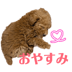 megumi_20260510211736