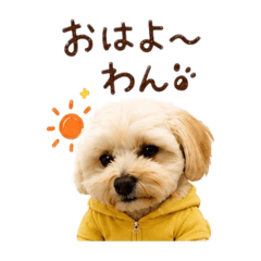 K_20260510211641