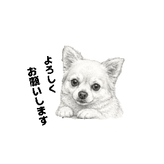 Chi-chan_20260510212048