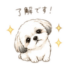 nana_20260510211848