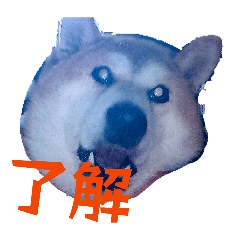 Doc_20260429103948