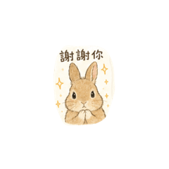 酷比｜實用日常part2