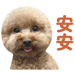 麻醬麵底迪