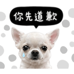 小胖懂你
