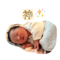 tawashi_20260510212547
