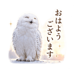 yuuka_20260510212840