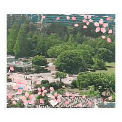 harumi_20260513154951