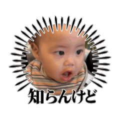 Upi_20260513192631