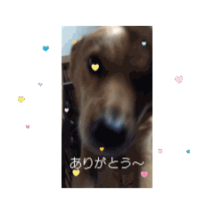 Walksamu_20260513225007