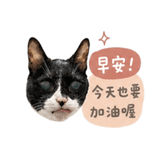 瑪斯寶包❤️