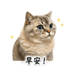 嚕嚕の可愛入侵