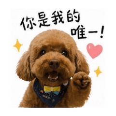 你是我的唯一❤️