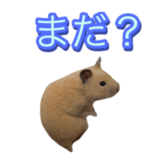 kato_20260502123535