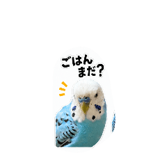 Sassy P-chan