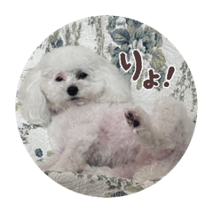 natsumi_20260511222735