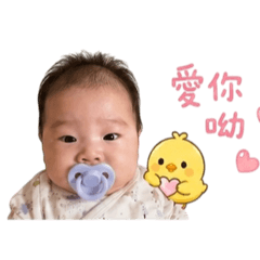 小餅的日常用語2❣️