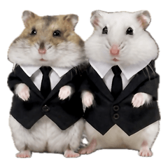Osaka Para Para dwarf hamster stickers