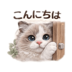 niji_20260510213609