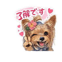 ranran_20260510222109