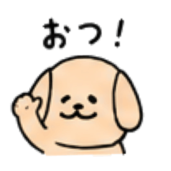 pon_20260510223410