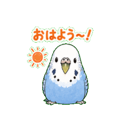 Everyday Bird Stickers