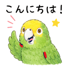 Fluffy Green Parrot Daily Stickers
