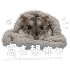 奈奈的圓圓-1