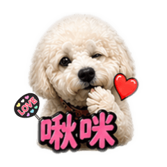 Leo小狗崽2.0