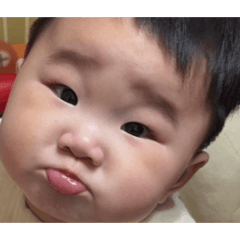 小胖咪長大了