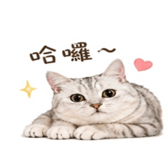 Zhu Yumi日常