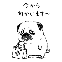 Lazy Pug Home Care Edition