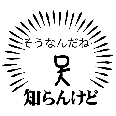 beekon_20260510225234