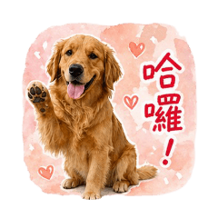 黃金寶貝