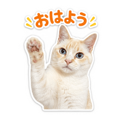 Yasuo Baby Cat Stickers