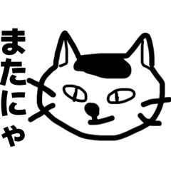 Dogs & Cats Days