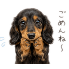 ayumi_20260510230009