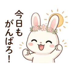 Smart & Gentle Aya Rabbit 02