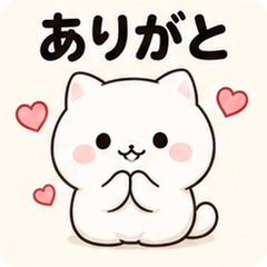 Mochi White Cat Reactions!