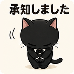 Sharp Eyed Polite Cat!