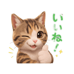 Cute Brown Tabby & White Cat Stickers