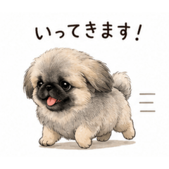 fujihana haruka_20260513191017