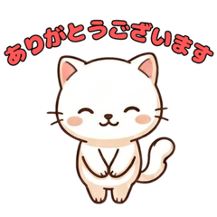polite Cat Greetings3769