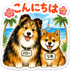 Hally & Riki Everyday Summer