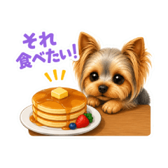 Yorkie Food Lover Stickers
