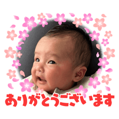 hrk_20260510214836