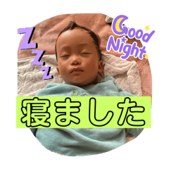 yagineko_20260510214943
